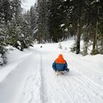 Rodeln von der Steinzgeralm