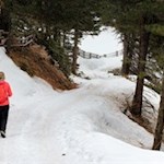 Hinter der Schatzerhütte führt der Winterwanderweg in Richtung Halslhütte