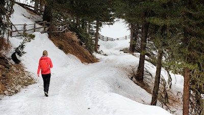Hinter der Schatzerhütte führt der Winterwanderweg in Richtung Halslhütte