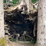 Naturstall auf dem Themenweg LandArt