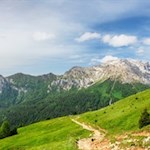 Durch blumenfrohe, aussichtsreiche Wiesen in Richtung Rotwandhütte