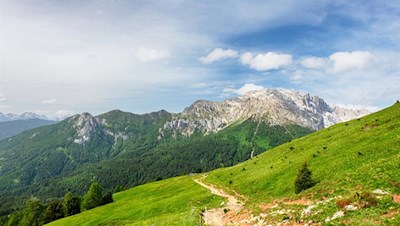 Durch blumenfrohe, aussichtsreiche Wiesen in Richtung Rotwandhütte