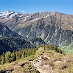 Von der Gewingesalm fällt der Steig zur Martalm ab