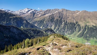 Von der Gewingesalm fällt der Steig zur Martalm ab