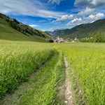 Durch malerische Wiesen zurück nach Campill