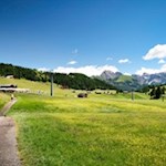 Inmitten idyllischer Wiesen liegt die Sanon Hütte