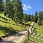 Hinter der Romeno Alm steigt der Weg auf den Roen an