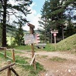 Hinter dem Besinnungsweg taucht der Weg Nr. 6 in einen Wald ein