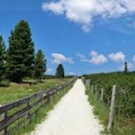 Wandern auf der Villanderer Alm