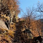 Herbstwanderung auf den Ritten