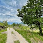 Frühlingswanderung nach St. Hippolyt