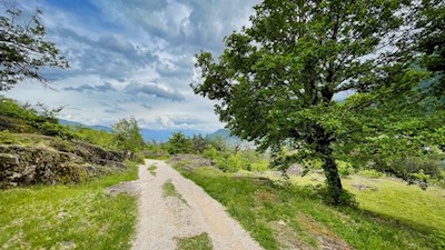 Frühlingswanderung nach St. Hippolyt