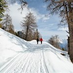 Traute Winterwanderung zur Weizgruberalm