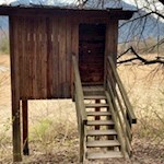 Beobachtungshäuschen am Raier Moos