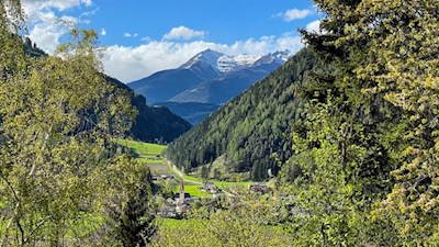 Im Hintergrund erhebt sich die Eidechsspitze