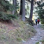 Von der Bergstation folgt man dem schmalen Steig Nr. 33