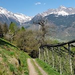 Hinter dem Gasthaus "Senn am Egg" folgt man weiterhin dem Wanderweg in Richtung Töll