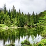 Ein Kleinod der Natur: der lauschige Mittersee