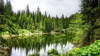 Ein Kleinod der Natur: der lauschige Mittersee