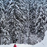 Durch den tiefverschneiten Wald zum Wildbad Innichen