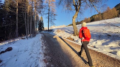 Durch Wald und Lichtungen zum Häusler Sam