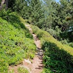 Abstieg auf dem Steig Nr. 17A nach Oberpojen