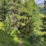 Der Rückweg von der Grente Alm erfolgt auf dem Hinweg