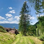 Durch Wald und Wiesen zur Astnerbergalm