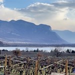 Der Kalterer See in der Abenddämmerung