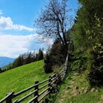 Auf dem Rundweg um die Erdpyramiden bei Percha