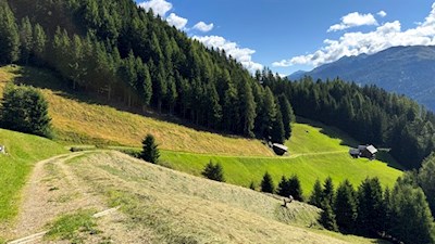 Durch die Pichlwiesen zur Grente Alm