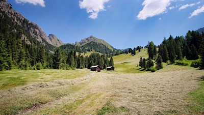 Sullo sfondo del Col di Poma, fino alla malga Caserill