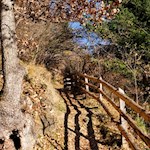 On the val di Funes valley panoramic trail