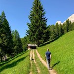 Sanft zieht sich der Perlenweg zur Ochsenhütte