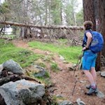 Durch den Wald auf die aussichtsreiche Geige