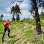 Im leichten Anstieg zum Berggasthaus Tomanegger