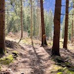 Auch der Rückweg nach Kematen ist gut ausgeschildert