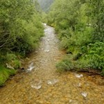 Blick auf den Valler Bach