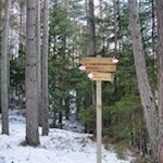 Zuletzt folgt man dem Weg Nr. 4A zum nunmehr nahen Aufhofener Kreuz