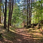 Wandern mit Kindern in Niedervintl