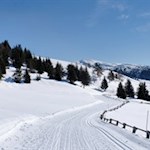 Die sanften Wanderwege auf der Rodenecker Alm laden auch im Winter zum Wandern ein