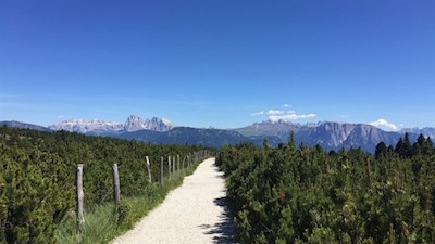 „Nur unterwegs erfährt man das Gefühl märchenhafter Verwunschenheit.“ (Erich Kästner)
