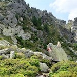 Über die felsendurchsetzte Gipfelflanke auf den Rammelstein