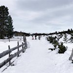 Der Winterwanderweg steigt sanft an