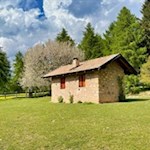 Frühlingswanderung auf dem Salten