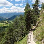 Auf schmalen Pfaden zur Sesselschwaige