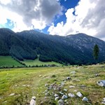 Wandern mit Hund zur Kurzkofelhütte 