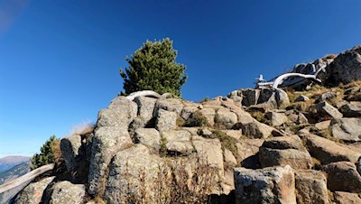 Die sagenumrankten Hexenbänke