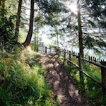 Auf dem Leonardiweg in Richtung Wollbachalm