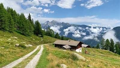 Vom Holzer Hof kann man auch dem breiten Wanderweg zur Weizgruberalm folgen